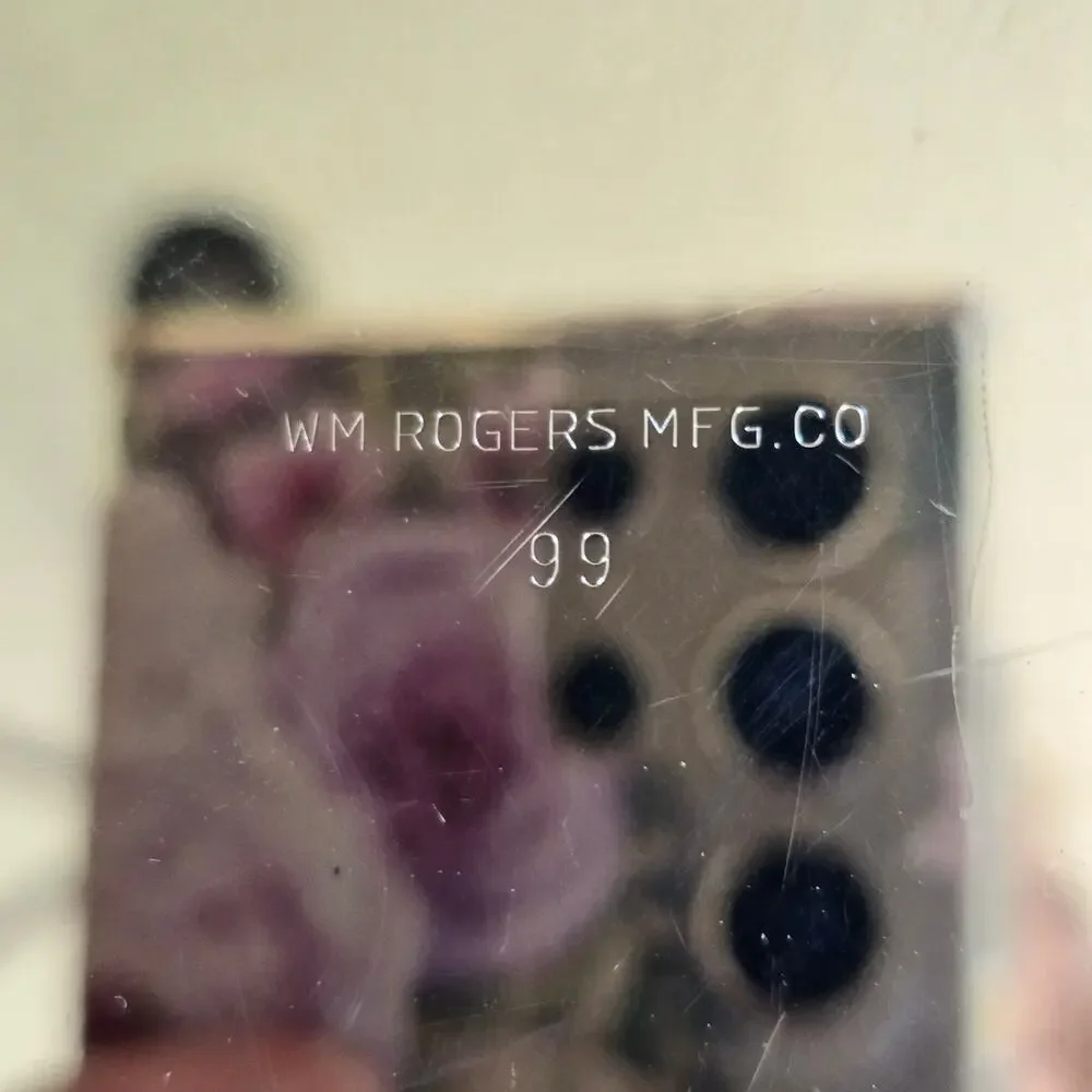 Vintage WM Rogers MFG Co Silver Plate Serving Tray Trinket Make Up Traditional